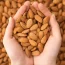 Benefits of Almonds - Fittobeat